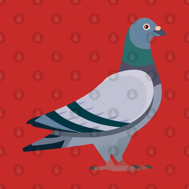 Pigeon by NV