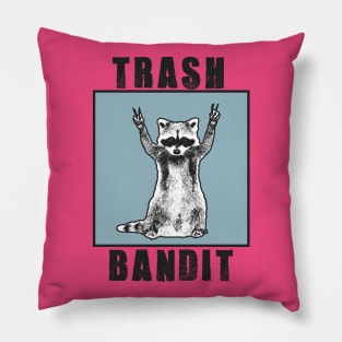 Trash Bandit Pillow