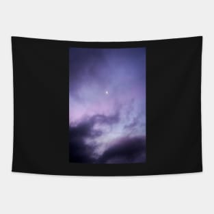 Purple Dreamy Sunset with Illuminated moon over New Zealand Tapestry