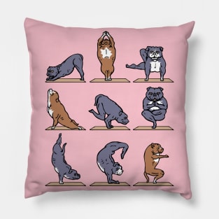 American Pit Bull Terrier Yoga Pillow