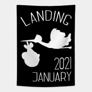 Birth January 2021 Tapestry