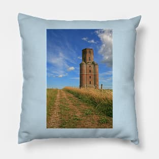 A Fascinating Folly Pillow