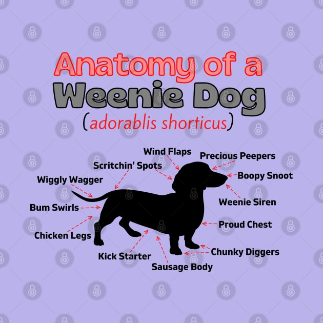 Anatomy of a Weenie Dog by Weenie Riot