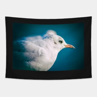 Juvenile Black-headed Gull Tapestry