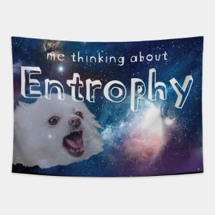 Me Thinking about Entrophy Tapestry