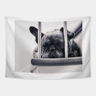 Frenchie Tapestry