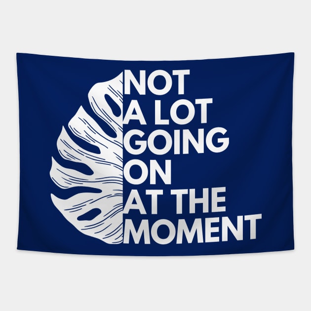 Not A Lot Going On At The Moment Tapestry by Owl Canvas