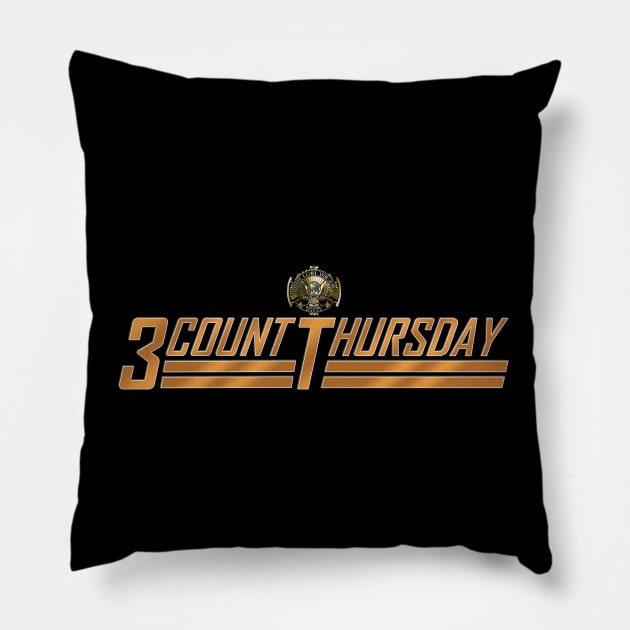 3 Count Summerfest Pillow by 3CountThursday