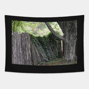 Overgrown wooden fence Tapestry