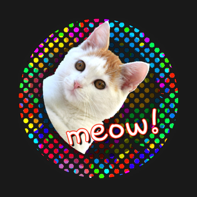 Discover Disco Cat - Funny Cat - T-Shirt