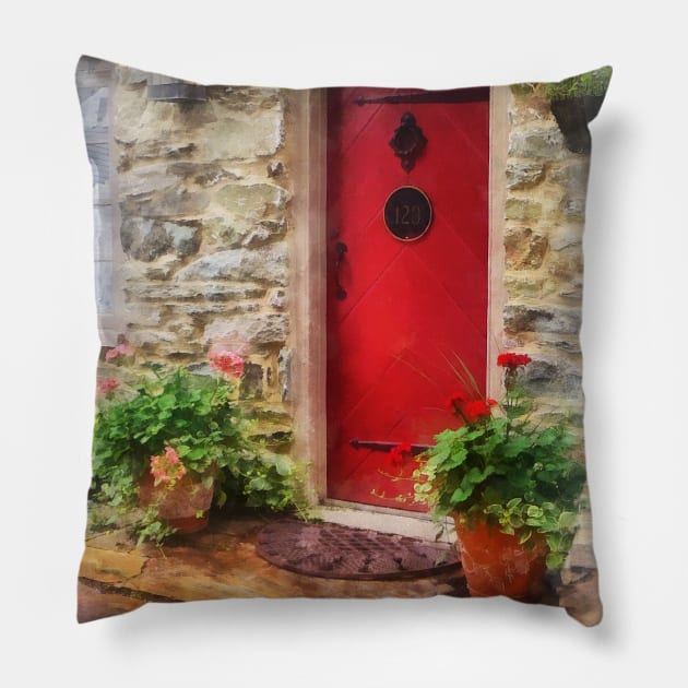 Suburbs - Geraniums by Red Door Pillow by SusanSavad