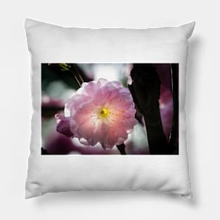 Flowering Almond Close-up Pillow