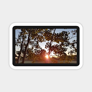 Autumn Sunrise Magnet
