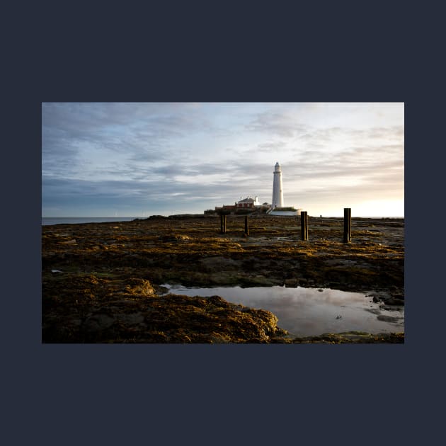 St Mary's Island in October sunshine by Violaman