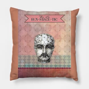 You are Fan-stash-tic Pillow