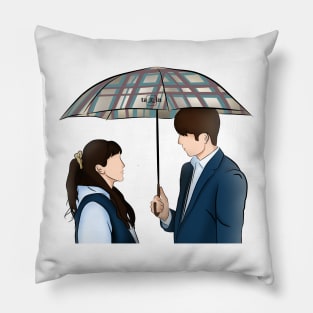 Twenty-Five, Twenty-One Korean Drama Pillow