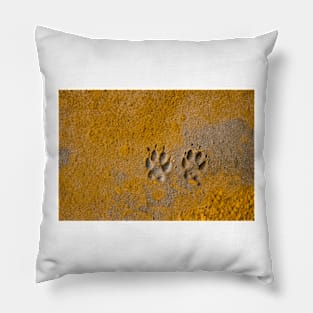 Dog Paw Prints Pillow