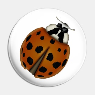 Ladybug Pin