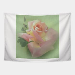 Vicorian Roses Neck Gator Pink Roses on Canvas Tapestry