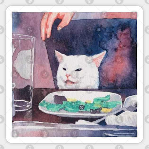 Cat Meme Woman Yelling At Cat Meme Woman Yelling At Cat Meme