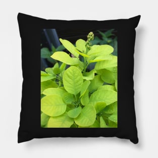 Forest Bathing with the Green Leaves of Our Beautiful Planet Pillow