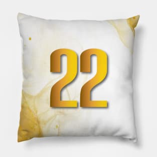 22 Again Vibe Pillow