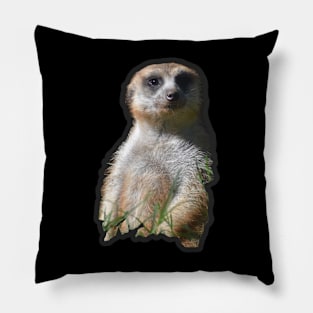 Meerkat Pillow