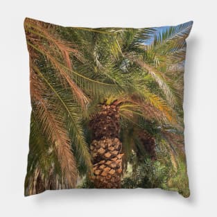 Pretty picture of a Palm Tree. Pretty Palm Trees Photography design with blue sky Pillow