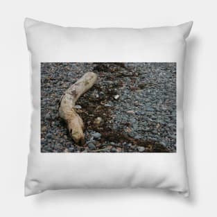 Pebble Beach with driftwood Pillow