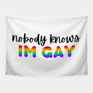 nobody knows i’m gay Tapestry