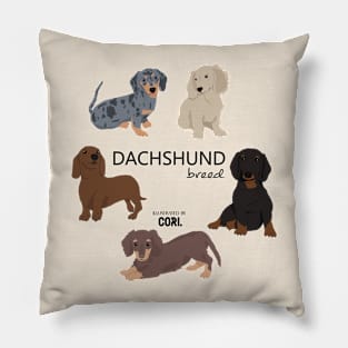 Dachshund breed Pillow