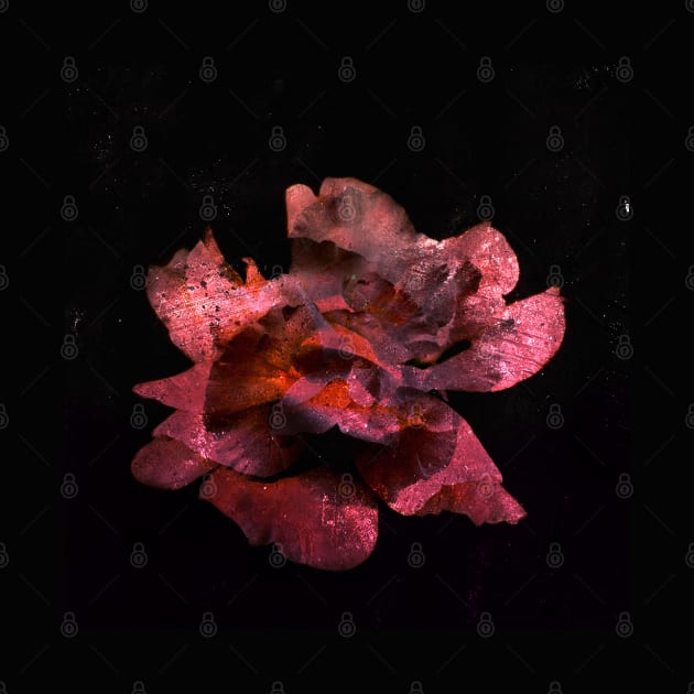 Dark floral #12 by LaVolpeDesign