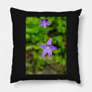 Two campanulas, bellflowers in the meadow Pillow