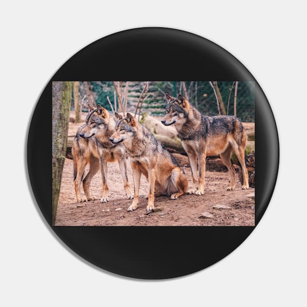 Wolves Pin by Photomisak72