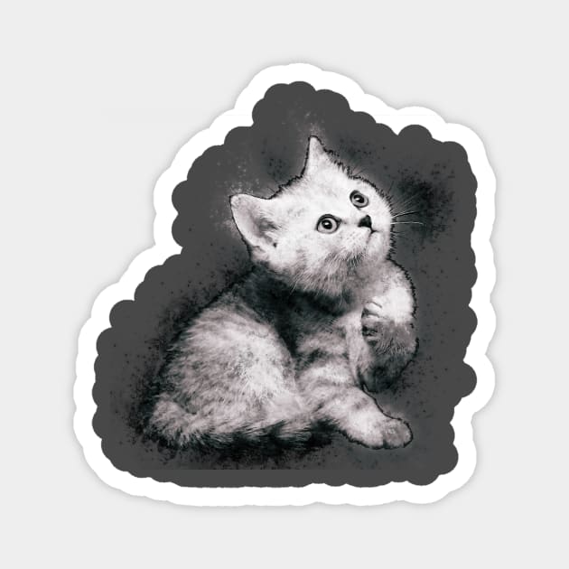 Kitten Need play game Magnet by NiceAndBetter Studio.