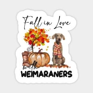 Fall In Love With Weimaraners Fall Pumpkin Thanksgiving Magnet