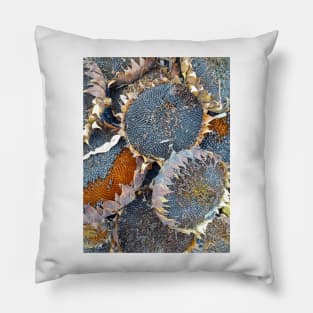 Sunflower Seeds by Avril Thomas at Magpie Springs Pillow