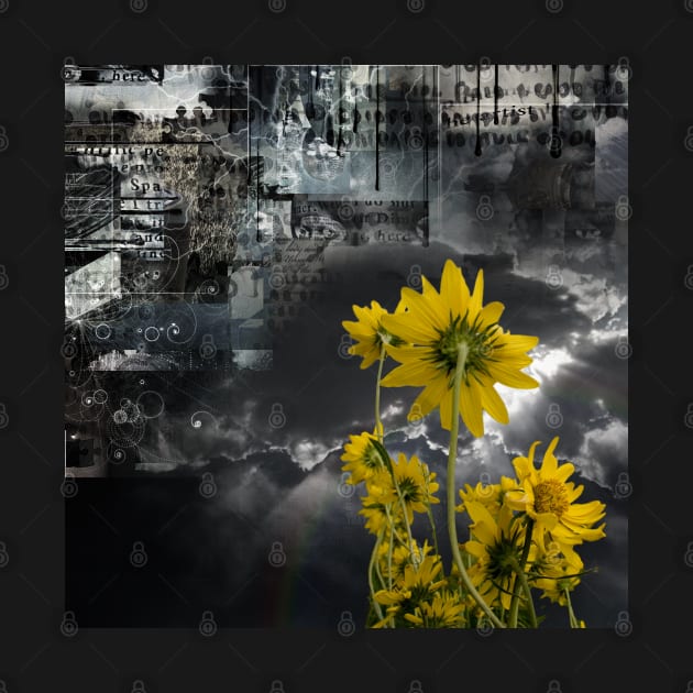 Abstract symbols and yellow flowers by rolffimages