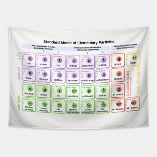 Standard Model of Elementary Particles with Antiparticles Tapestry