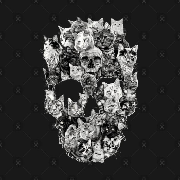 Cat Skull Drawings by BilodeauBlue