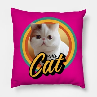 Cute Cat Pillow