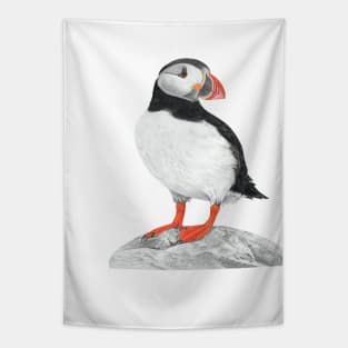 Puffin pastel art Tapestry