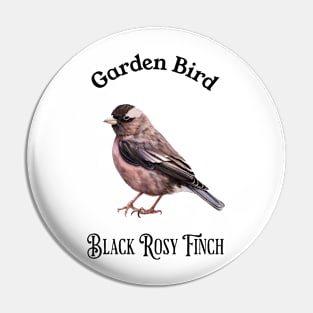 Garden Bird Black Rosy Finch Pin