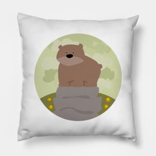 Bear Pillow