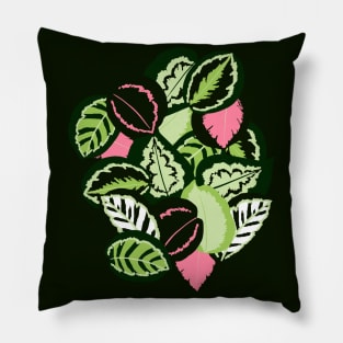 Calathea Pillow