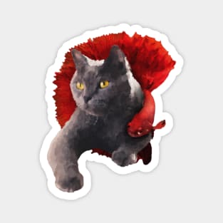 british shorthair cat with a betta fish illustration Magnet