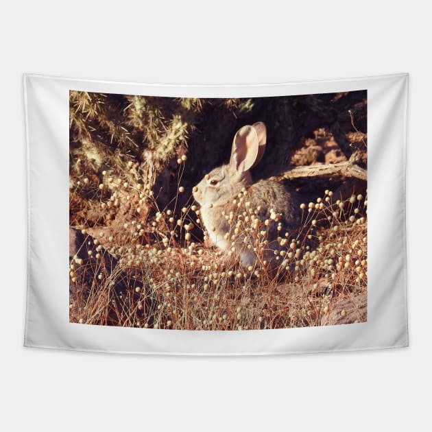 Desert Cottontail, Rabbit, Cute and Cuddly Tapestry by sandyo2ly