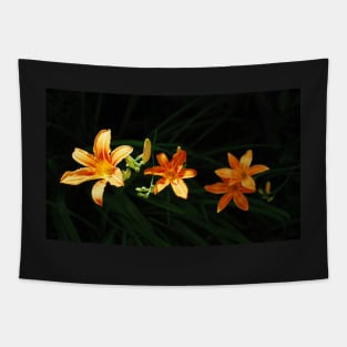 Wild Orange Lilies in Partial Shade Tapestry