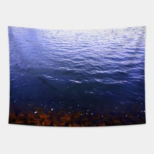 rock pool Tapestry