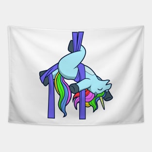 Aerial Silk Unicorn Tapestry